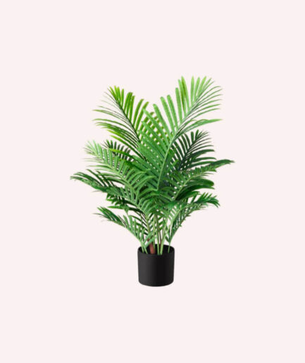 Fopamtri fake palm