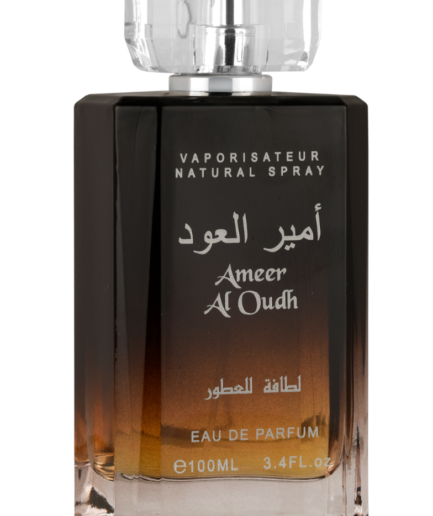 Ameer Al Oudh